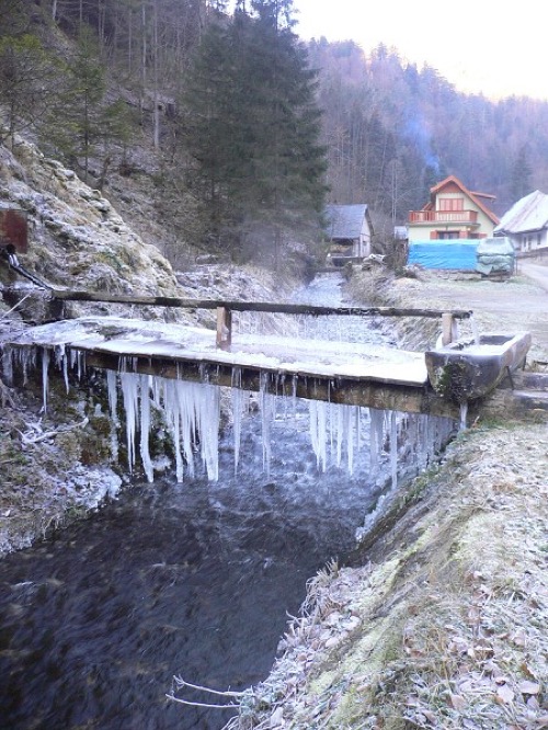 Fotky zo sezóny 2015