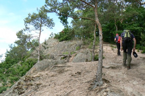 Červená skala