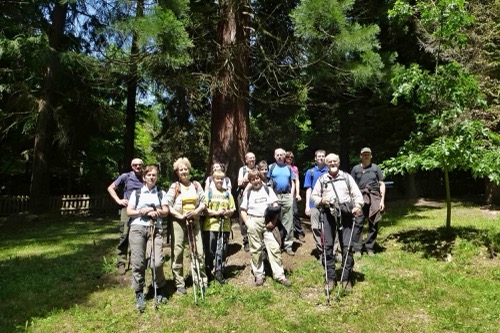 31.5.2015 Pohronský Inovec: Nová Baňa – Zvonička – foto 30