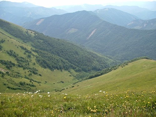 Pohľad do Veľkej Ramžinej, Japeň a Starohorské vrchy.