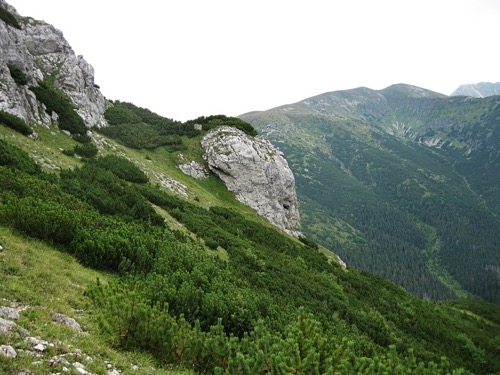 Pri zostupe zo Sivého vrchu