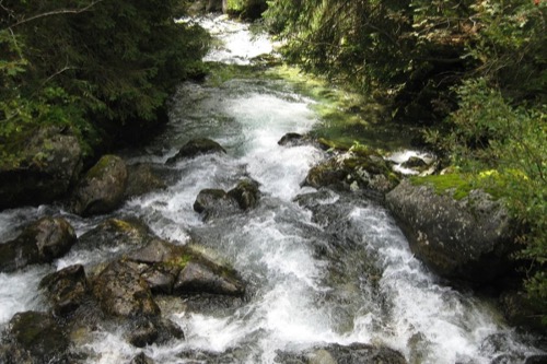 V Kôprovej doline