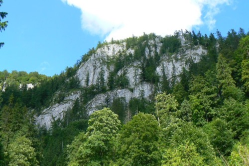 Skalné bralá nad Stratenou