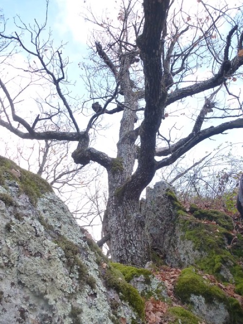 Zostup do Rákoša