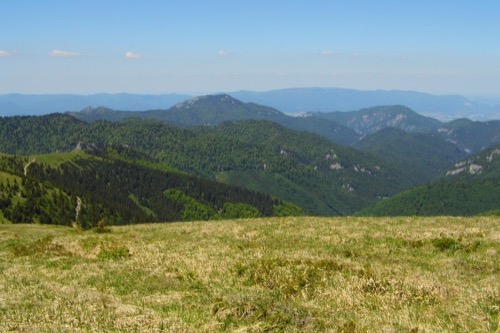 Pohľad na Tlstú (1373 m n. m.) a Ostrú (1247 m n. m.), v pozadí Lúčanská Malá Fatra