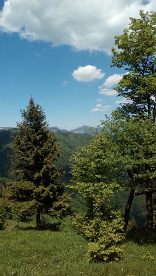Zostup z Majerovej skaly