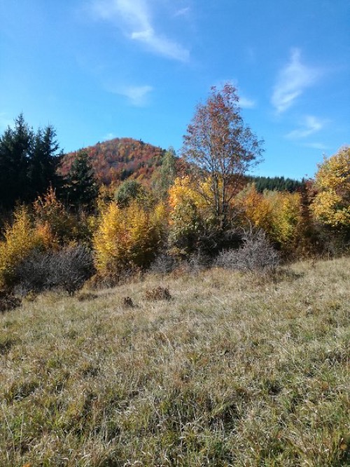 Ostrý vrch