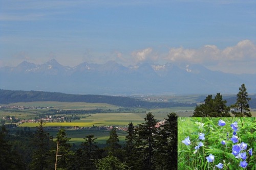 Pohľad na Vysoké Tatry a Popradskú kotlinu
