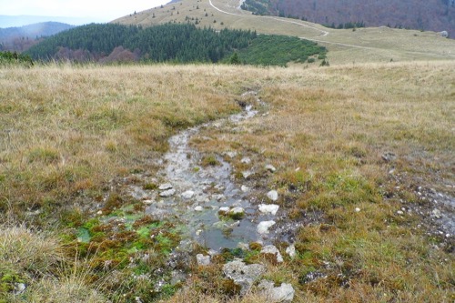 Prameň potoka Bystrica