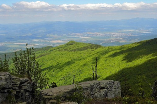 Výhľad na Prievidzu, v pozadí Kľak (vpravo) a Strážov (vľavo)