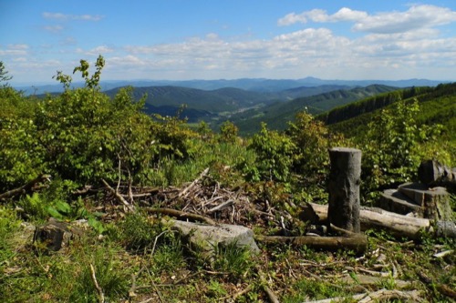 Zostup do Ostrého Grúňa