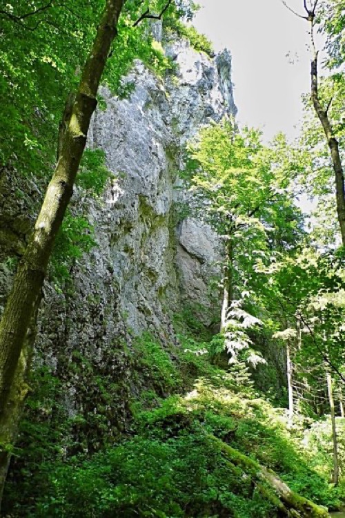 10.6.2017: Zádielska dolina – foto 12