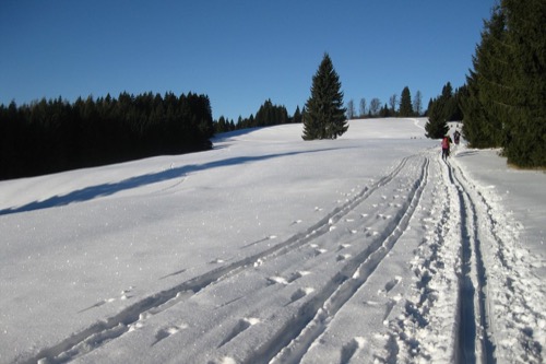 21.1.2017 Veporské vrchy: Tlstý Javor – Zákľuky – foto 3