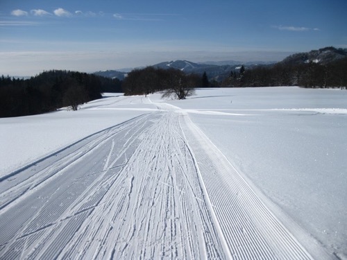 Vzorne upravené bežecké trasy