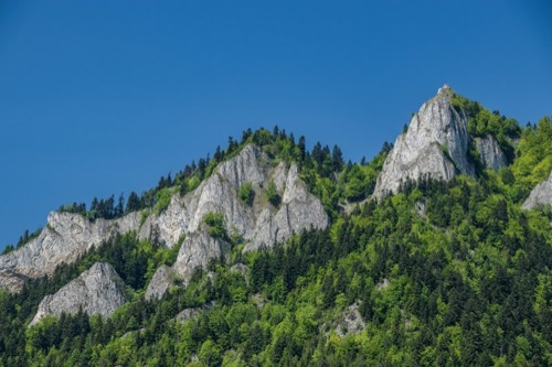 Tri koruny
