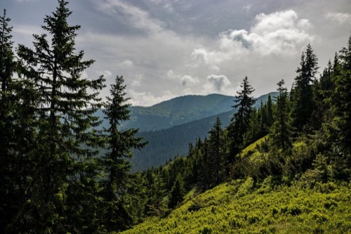 9.6.2018: Magurka-Liptovská Lúžna – foto 3