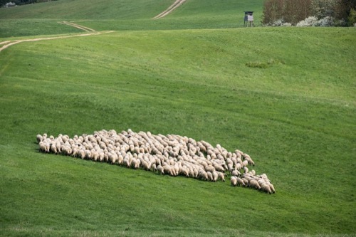 22.4.2018: Môlča-Slovenská Ľupča – foto 7