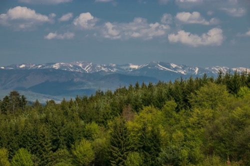 V pozadí Nízke Tatry