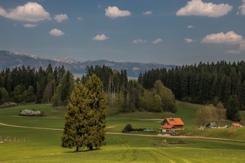 Pôlč