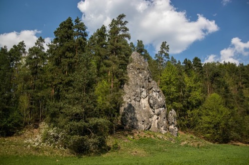 Skalné bralo v Driekyni je cvičnou skalou pre horolezcov.