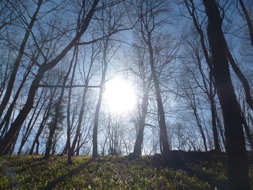 14.4.2018: Sklené Teplice – Banská Štiavnica (VZ) – foto 4