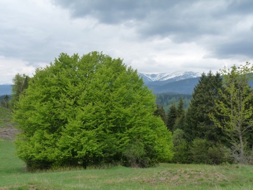 8.5.2019: Dedečkova chata – foto 14