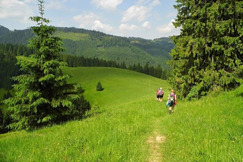 Vrcholové lúky pod Vtáčnikom