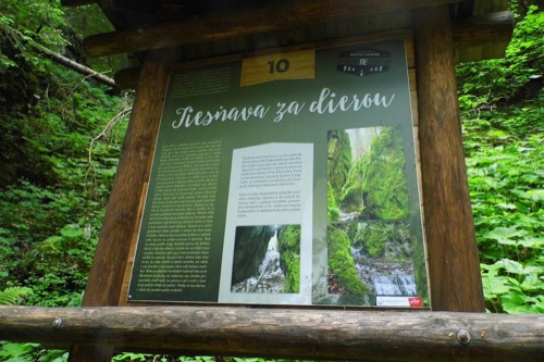 16.6.2019: Čutkovská dolina – foto 18