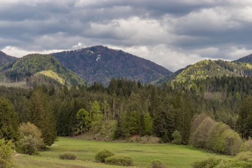 Rašelinisko nad Rakšou