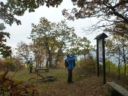 Sedlová skala