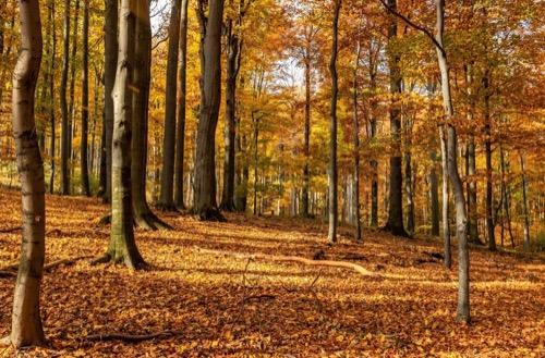 19.10.2019: Pohronský Inovec – foto 23