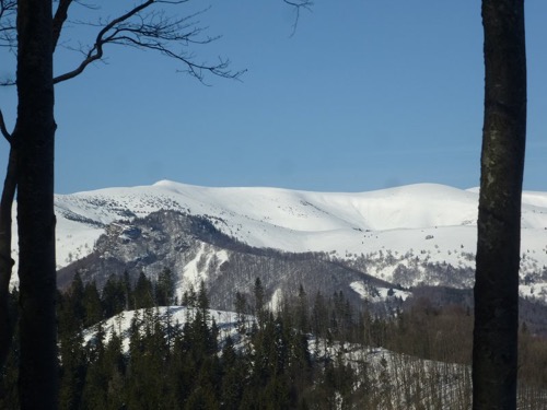Výhľad na Krížnu