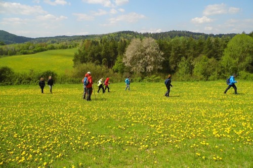 Jarné lúky nad Ponikami
