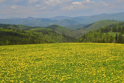 1.5.2019: Môlča – Slovenská Ľupča – foto 8