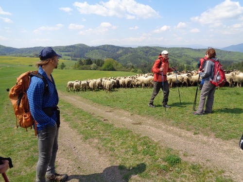 1.5.2019: Môlča – Slovenská Ľupča – foto 10