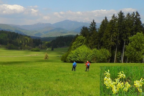 S panorámou Nízkych Tatier