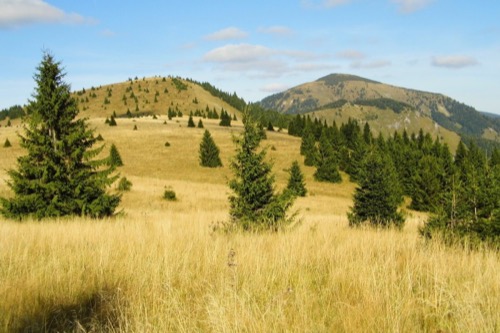 Rakytov od Čierneho kameňa