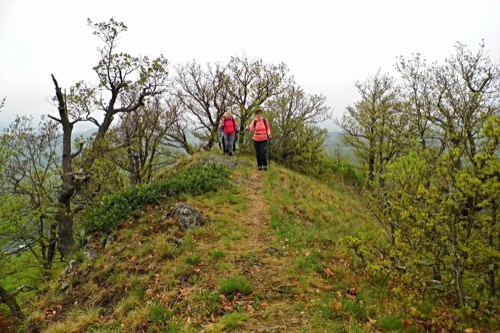 Jelenia skala