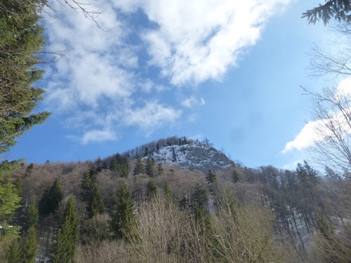 Jelenská skala