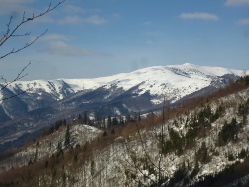 Pohľad na masív Krížnej