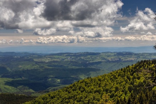 Pohľad na okolie Detvianskej Huty