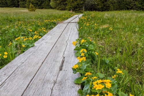 6.6.2020: Poľana – foto 10