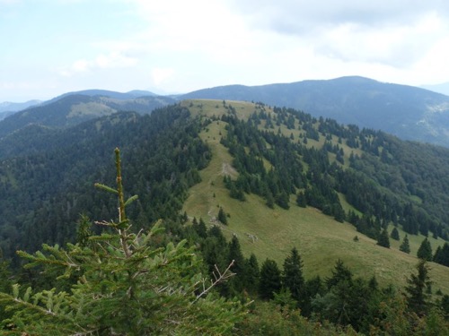 Výhľad na Tanečnicu, Skalnú Alpu a Smrekovicu (v pozadí, vpravo)