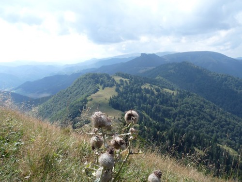 Panoráma Veľkej Fatry - v popredí vidíme Čierny kameň a Ploskú