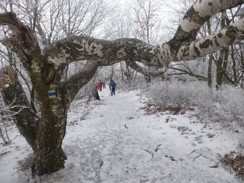 18.1.2020: Sitno – foto 11