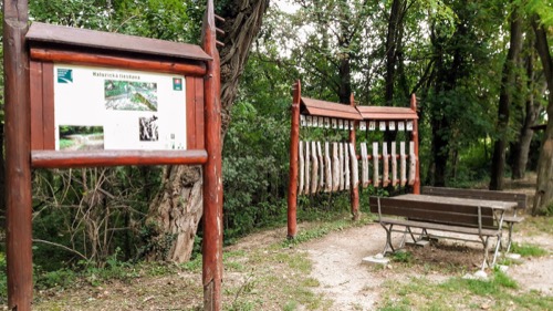 Haluzická tiesňava