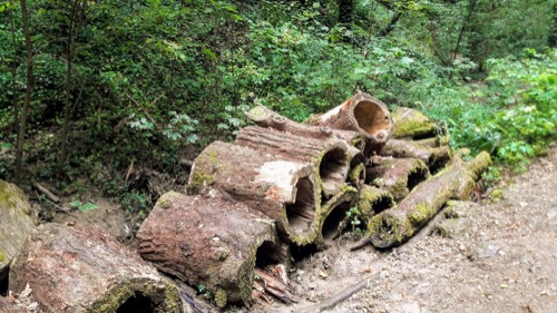 6.8.2022 Haluzická tiesňava – Bošáca – foto 14