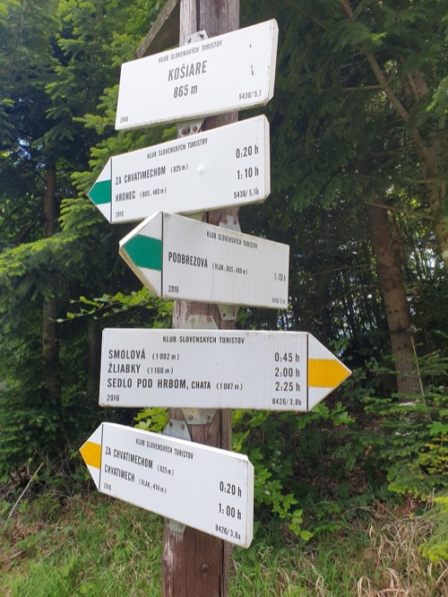 Križovatka značkovaných chodníkov na Košiaroch (nad Podbrezovou)