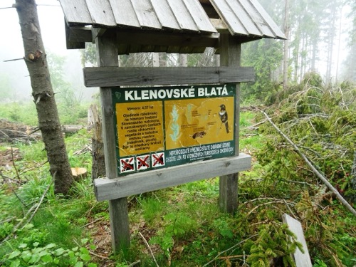 Rašelinisko Klenovské blatá