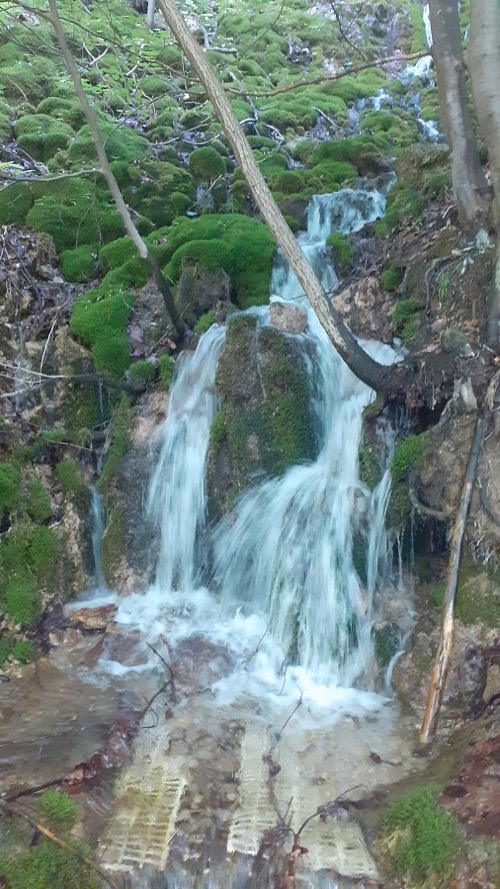 3.6.2023 Krížna – foto 4